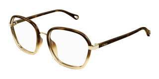 Chloé CH0309O women Havana Squared Eyeglasses