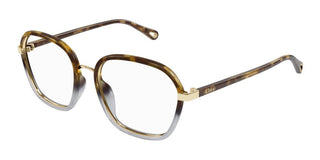 Chloé CH0309O women Havana Squared Eyeglasses