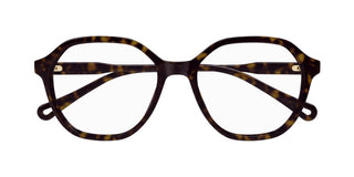 Chloé CH0312O women Havana Squared Eyeglasses