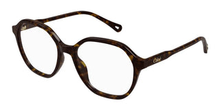 Chloé CH0312O women Havana Squared Eyeglasses