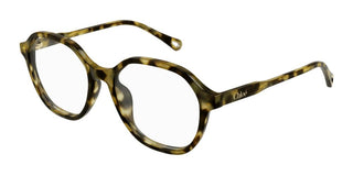 Chloé CH0315OA women Havana Squared Eyeglasses