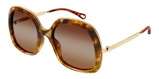 Chloé CH0327S women Gold Oversize Sunglasses