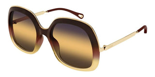 Chloé CH0327S women Brown Oversize Sunglasses