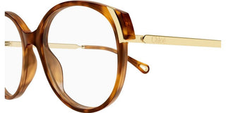 Chloé CH0328O women Havana Round Eyeglasses