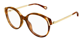 Chloé CH0328O women Havana Round Eyeglasses
