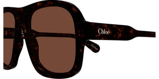 Chloé CH0331S women Havana Pilot Sunglasses