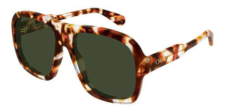 Chloé CH0331S women Havana Pilot Sunglasses
