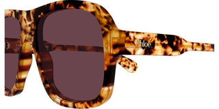 Chloé CH0331S women Havana Pilot Sunglasses