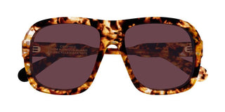 Chloé CH0331S women Havana Pilot Sunglasses