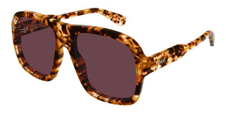 Chloé CH0331S women Havana Pilot Sunglasses
