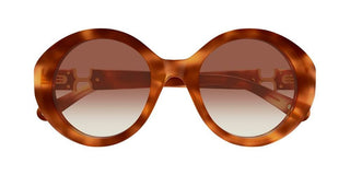 Chloé CH0332S women Havana Round Sunglasses