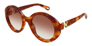 Chloé CH0332S women Havana Round Sunglasses