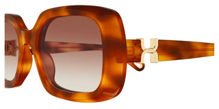 Chloé CH0333S women Havana Rectangle Sunglasses