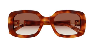 Chloé CH0333S women Havana Rectangle Sunglasses