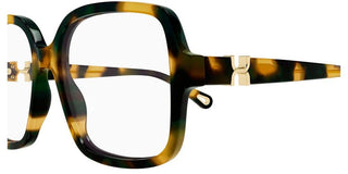 Chloé CH0335O women Havana Geometric Eyeglasses