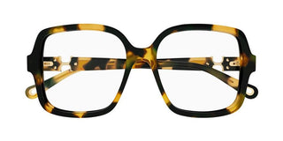 Chloé CH0335O women Havana Geometric Eyeglasses