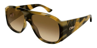 Chloé CH0347S women Havana Pilot Sunglasses