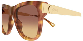 Chloé CH0349S women 0 Cat Eye Sunglasses