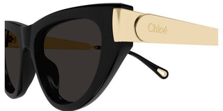 Chloé Ch0350s Women Black Cat Eye Sunglasses