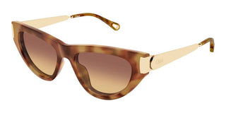 Chloé Ch0350s Women Havana Cat Eye Sunglasses