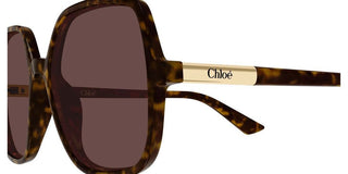 Chloé Ch0362s Women Havana Geometric Sunglasses