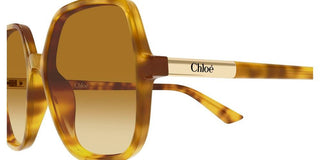 Chloé CH0362S women Havana Geometric Sunglasses