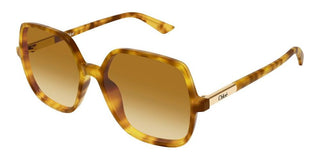 Chloé CH0362S women Havana Geometric Sunglasses