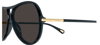 Chloé CH0395S women Grey Round Sunglasses