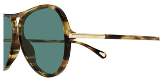 Chloé CH0395S women Havana Round Sunglasses