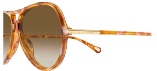 Chloé CH0395S women Havana Round Sunglasses