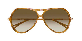 Chloé CH0395S women Havana Round Sunglasses