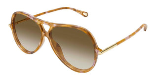 Chloé CH0395S women Havana Round Sunglasses