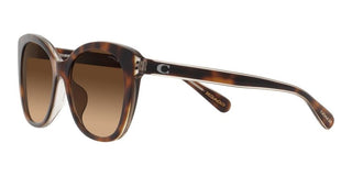 Coach CH567 HC 8365U women Brown Cat Eye Sunglasses