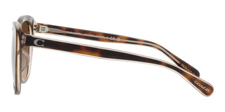 Coach CH567 HC 8365U women Brown Cat Eye Sunglasses