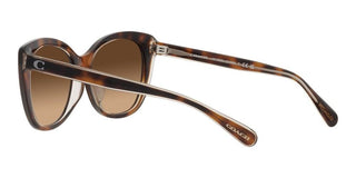 Coach CH567 HC 8365U women Brown Cat Eye Sunglasses