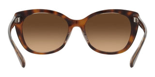 Coach CH567 HC 8365U women Brown Cat Eye Sunglasses