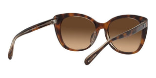 Coach CH567 HC 8365U women Brown Cat Eye Sunglasses