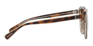 Coach CH567 HC 8365U women Brown Cat Eye Sunglasses