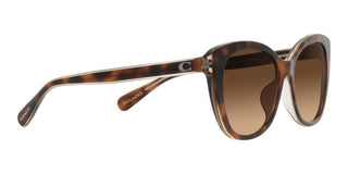 Coach CH567 HC 8365U women Brown Cat Eye Sunglasses
