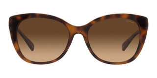 Coach CH567 HC 8365U women Brown Cat Eye Sunglasses