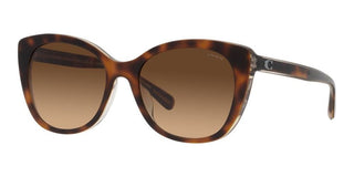 Coach CH567 HC 8365U women Brown Cat Eye Sunglasses