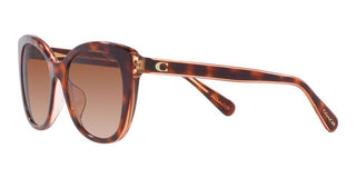 Coach CH567 HC 8365U women Brown Cat Eye Sunglasses