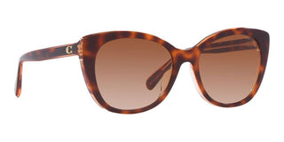 Coach CH567 HC 8365U women Brown Cat Eye Sunglasses