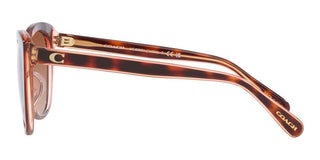 Coach CH567 HC 8365U women Brown Cat Eye Sunglasses
