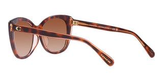Coach CH567 HC 8365U women Brown Cat Eye Sunglasses