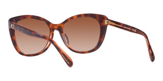 Coach CH567 HC 8365U women Brown Cat Eye Sunglasses