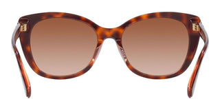 Coach CH567 HC 8365U women Brown Cat Eye Sunglasses