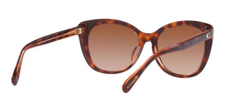 Coach CH567 HC 8365U women Brown Cat Eye Sunglasses