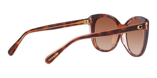 Coach CH567 HC 8365U women Brown Cat Eye Sunglasses