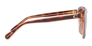 Coach CH567 HC 8365U women Brown Cat Eye Sunglasses